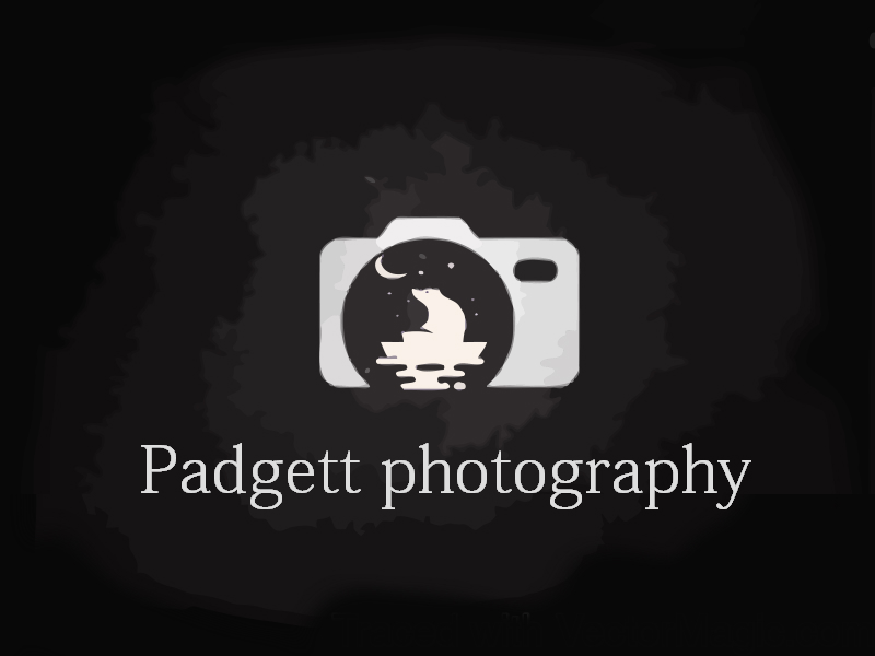 Logo Design by sam han for this project | Design #11355713