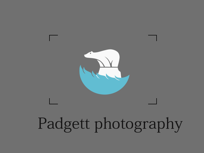 Logo Design by sam han for this project | Design #11355716