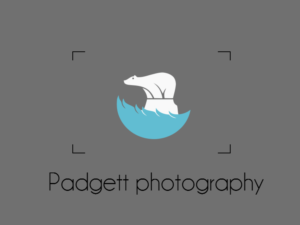 Design de Logo par sam han pour ce projet | Design : #11355717