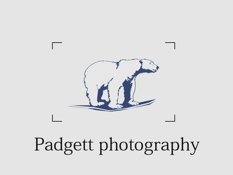 Logo Design by sam han for this project | Design #11355719