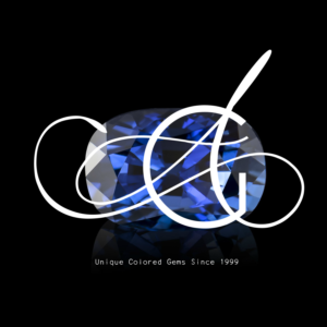 Logo Design by Hailey J.