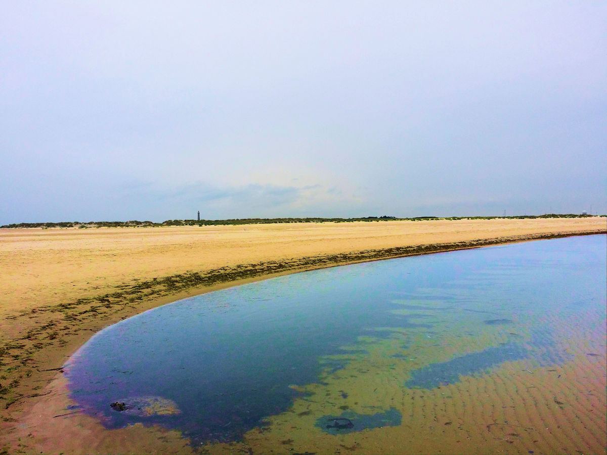 Photography by songshen for DesignCrowd (Community Contests) | Design #11324616