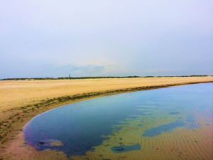 Photography by songshen