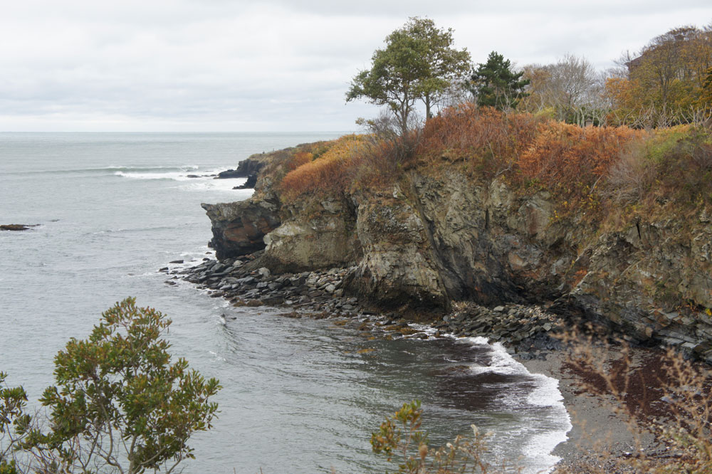 Photography by JadeRaven21 for DesignCrowd (Community Contests) | Design #11304107