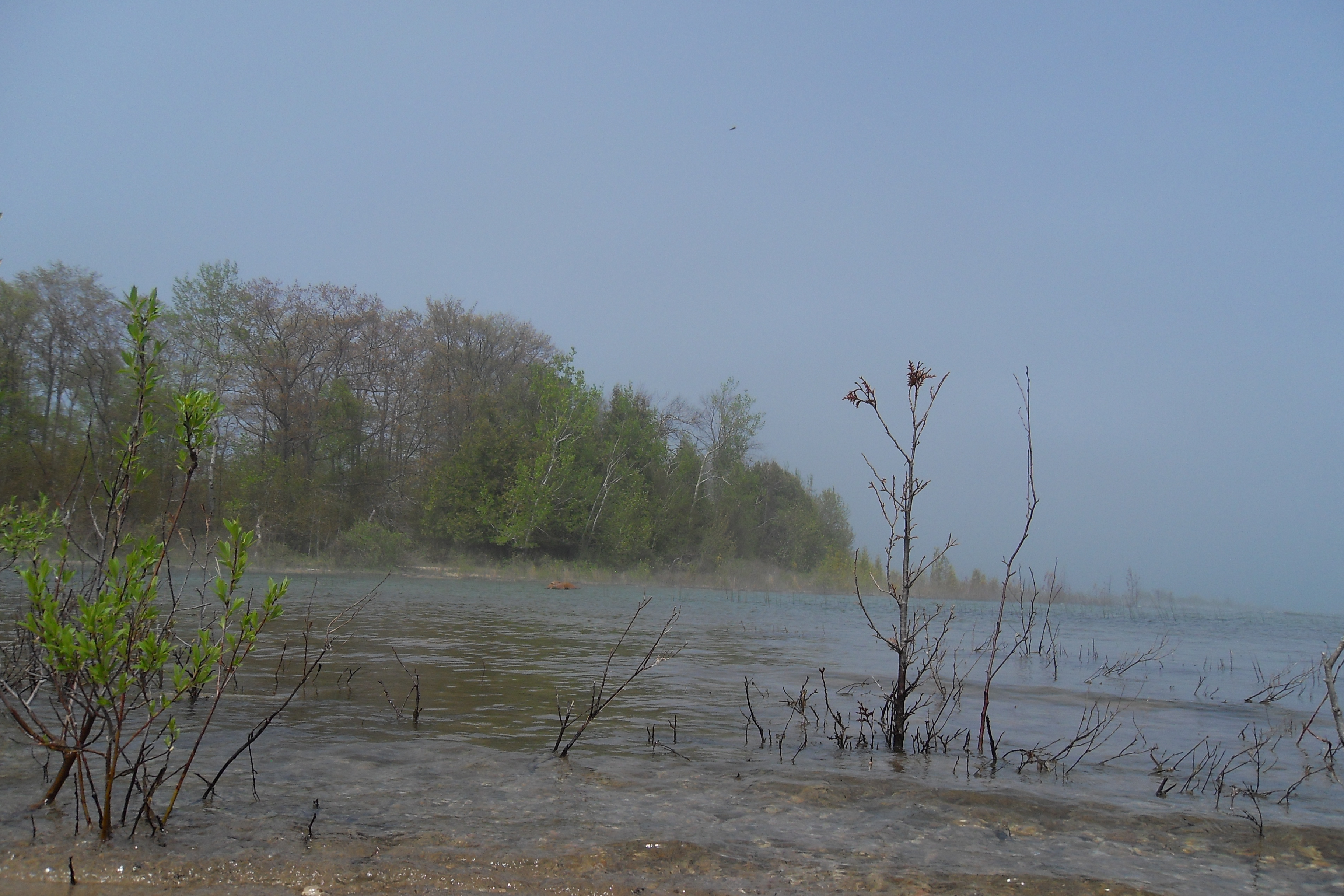 Photography by aclone for DesignCrowd (Community Contests) | Design #11280820