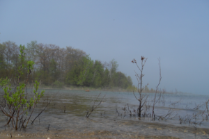 Photography by aclone