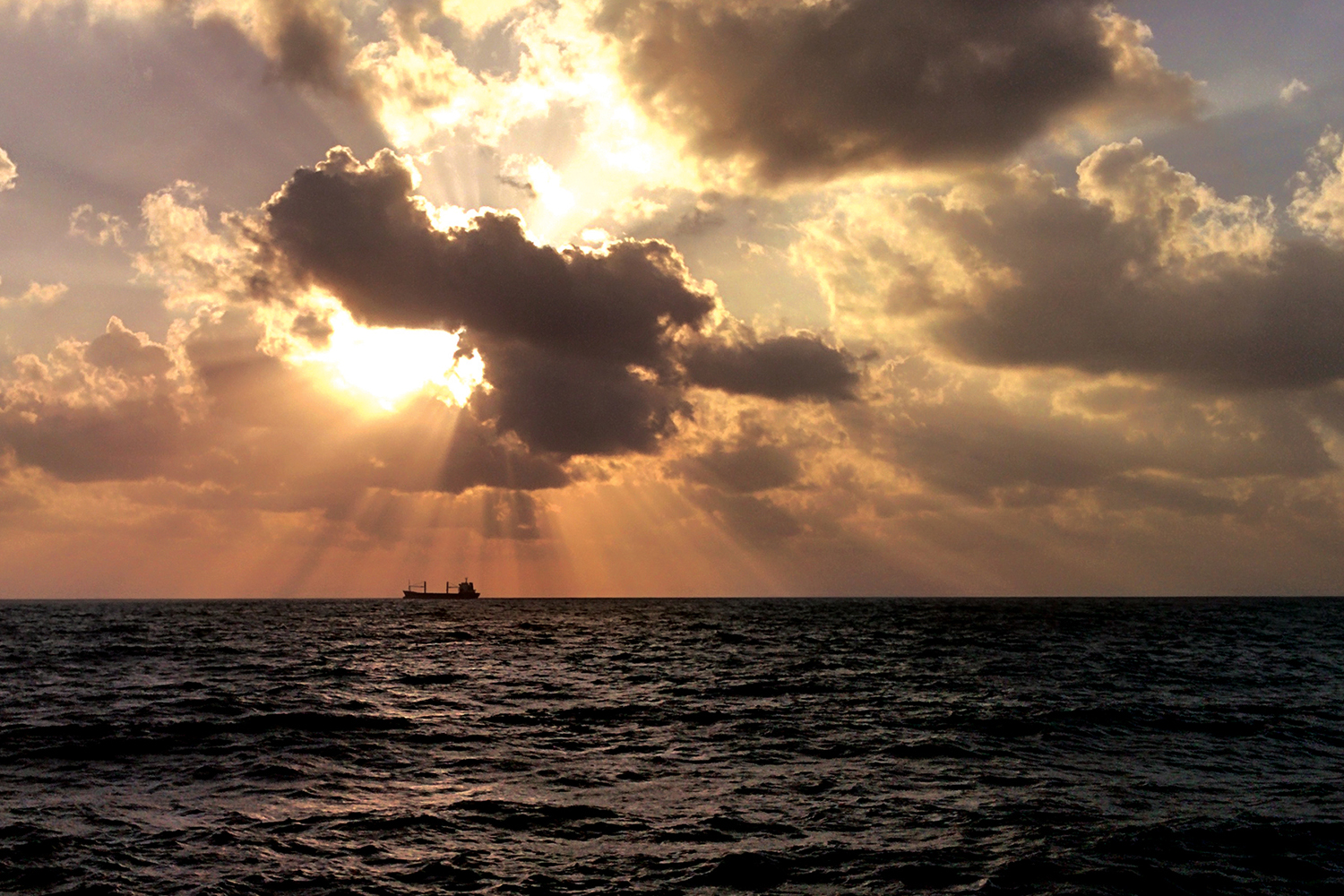 Photography by jemmawakim for DesignCrowd (Community Contests) | Design #11268804