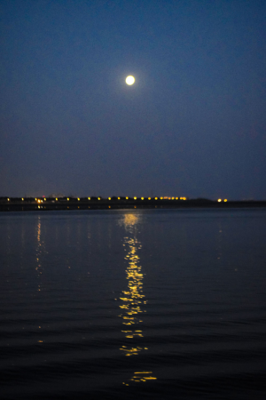 Photography by workaholic391