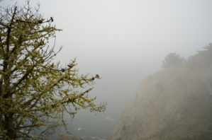Photography by Luise Dalles