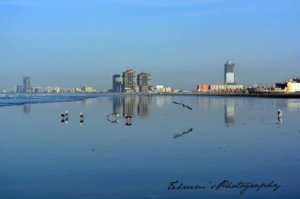Photography by Blackwood Design Studio