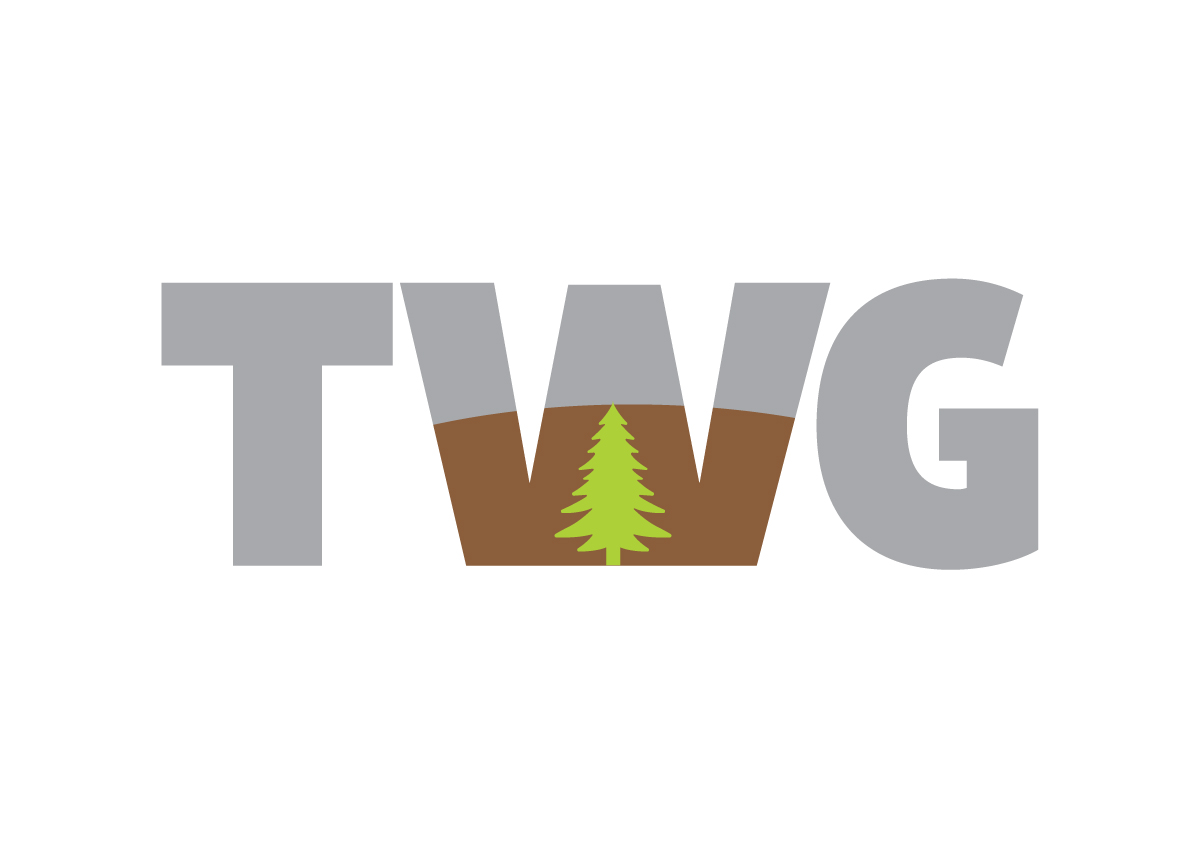 Diseño de Logo por Impressive Sol para The Wings Group | Diseño #11400176