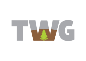 Logo Design by Impressive Sol for The Wings Group | Design #11400176