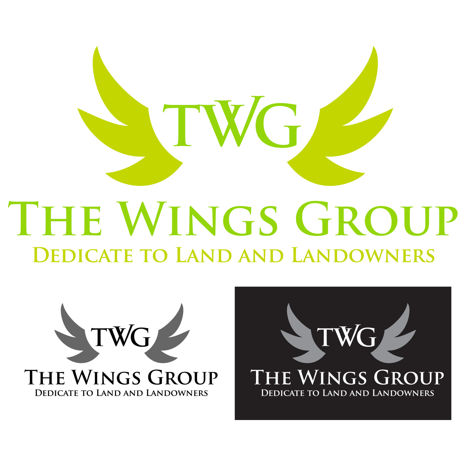 Logo Design by Keith91762 for The Wings Group | Design #11272185