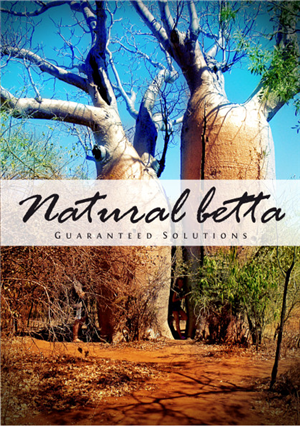 Poster Design by Atvento Graphics for this project | Design: #490458