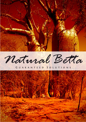 Poster Design by Atvento Graphics for this project | Design: #491938