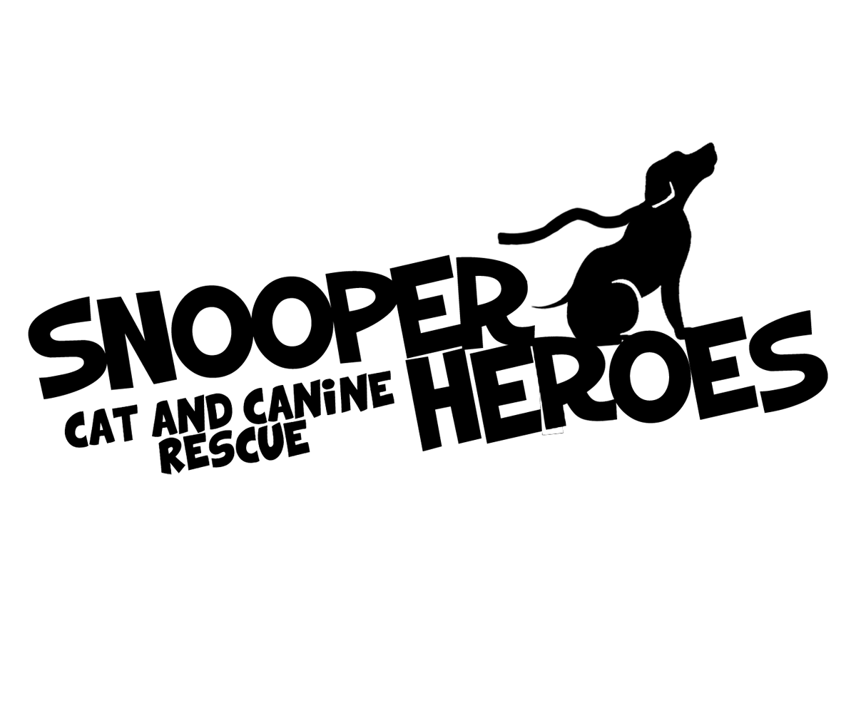 Logo-Design von callumr123 für dieses Projekt | Design #2517076