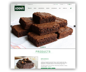 Web Design by Saumin Bhavsar