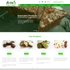 Web Design by Advanced Designs