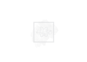 Logo-Design von bohemian.moon für Two Skinny Pickles Pty. Ltd. | Design: #11370426