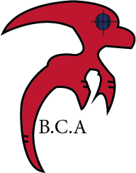 Logo-Design von Idris ElSenussi für dieses Projekt | Design #11291207