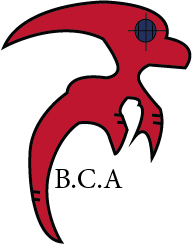 Logo Design by Idris ElSenussi