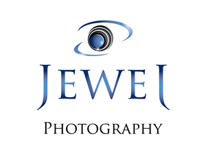 38 professional logo designs