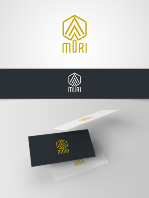 Logo Design by voltart