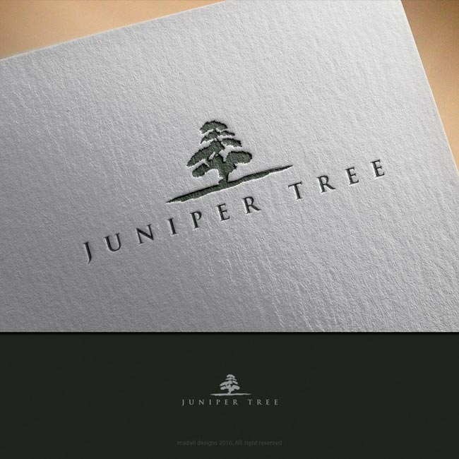 Logo Design by madeli for this project | Design #11311748