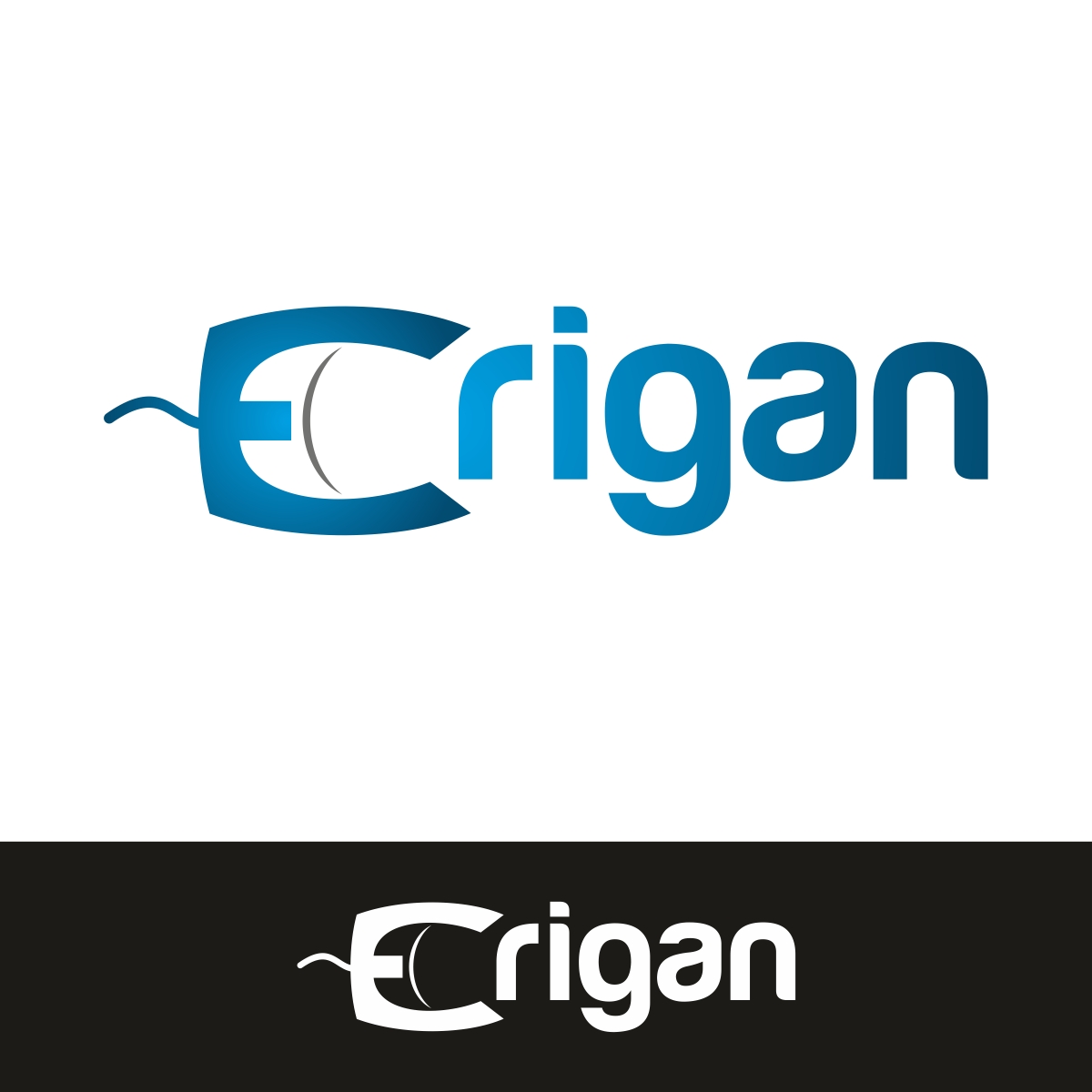 Logo Design by webeezine for Erigan Ltd. | Design #11307001