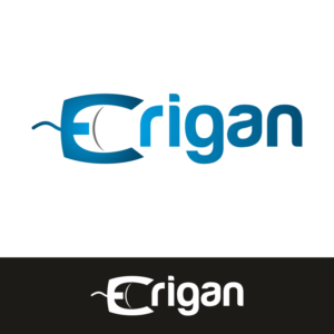 Logo Design by webeezine for Erigan Ltd. | Design: #11307001