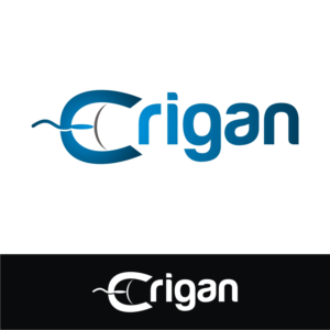 Logo Design by webeezine for Erigan Ltd. | Design: #11312017