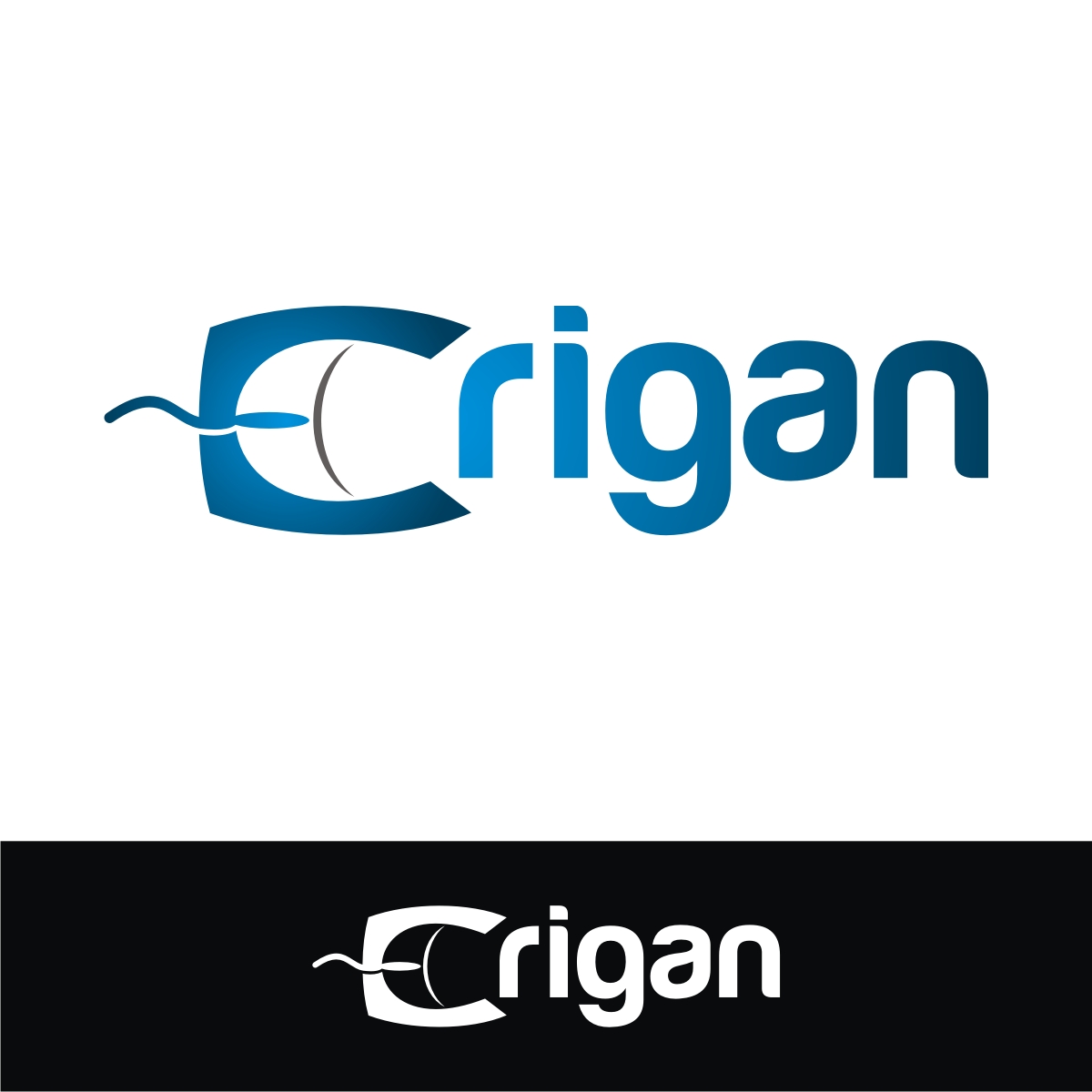 Logo Design by webeezine for Erigan Ltd. | Design #11312018