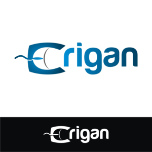 Logo Design by webeezine for Erigan Ltd. | Design: #11312018