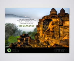 Flyer Design by Designers Hub for PHI MARKETING LLC | Design: #11315428