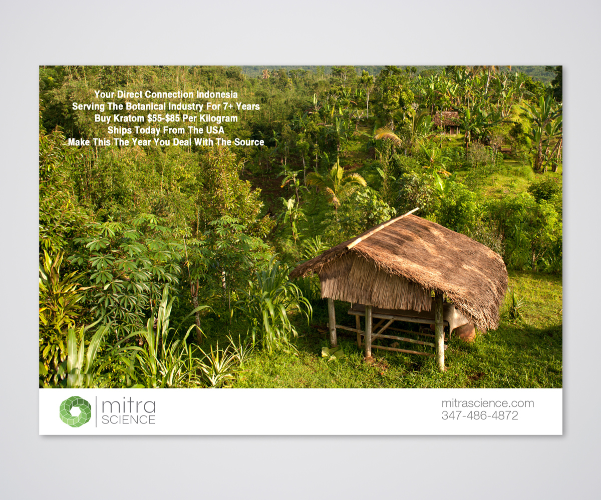 Flyer Design by Designers Hub for PHI MARKETING LLC | Design #11315724