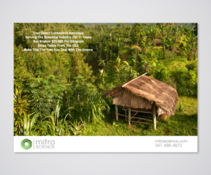 Flyer Design by Designers Hub for PHI MARKETING LLC | Design: #11315724