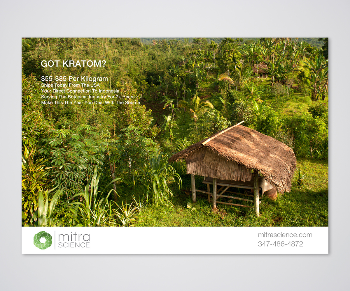 Flyer Design by Designers Hub for PHI MARKETING LLC | Design #11319052