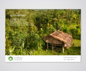Flyer Design by Designers Hub for PHI MARKETING LLC | Design: #11319052