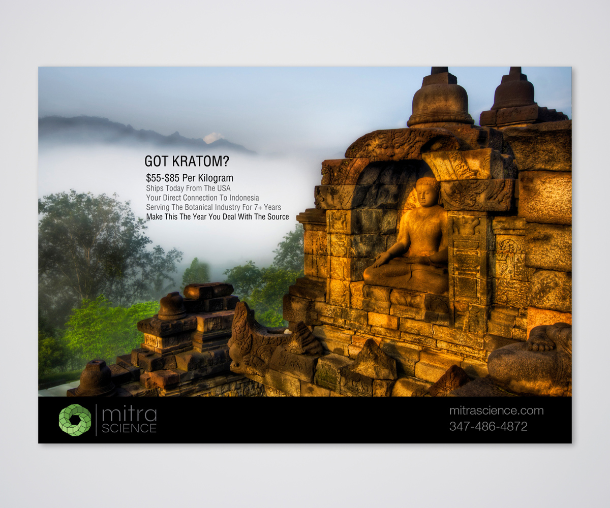 Flyer Design by Designers Hub for PHI MARKETING LLC | Design #11319096