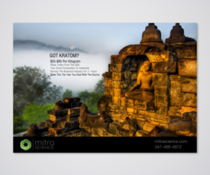 Flyer Design by Designers Hub for PHI MARKETING LLC | Design: #11319096