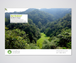 Flyer Design by Designers Hub for PHI MARKETING LLC | Design: #11319311