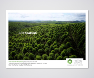 Flyer Design by Designers Hub for PHI MARKETING LLC | Design: #11319659