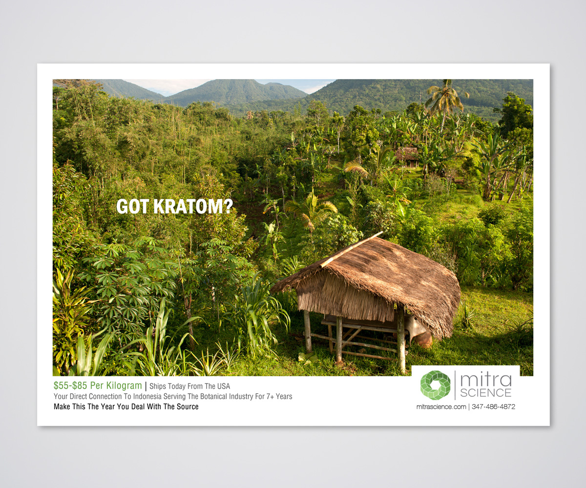 Flyer Design by Designers Hub for PHI MARKETING LLC | Design #11319667