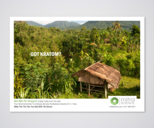 Flyer Design by Designers Hub for PHI MARKETING LLC | Design: #11319667