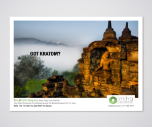 Flyer Design by Designers Hub for PHI MARKETING LLC | Design: #11319678