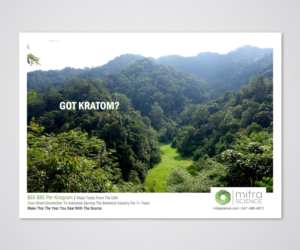 Flyer Design by Designers Hub for PHI MARKETING LLC | Design: #11319692