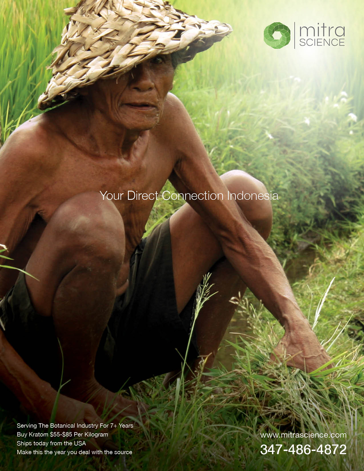 Diseño de Flyer por DesignFive para PHI MARKETING LLC | Diseño #11314885