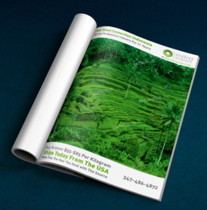 Design de Flyer par ALSADESIGN pour PHI MARKETING LLC | Design : #11317724