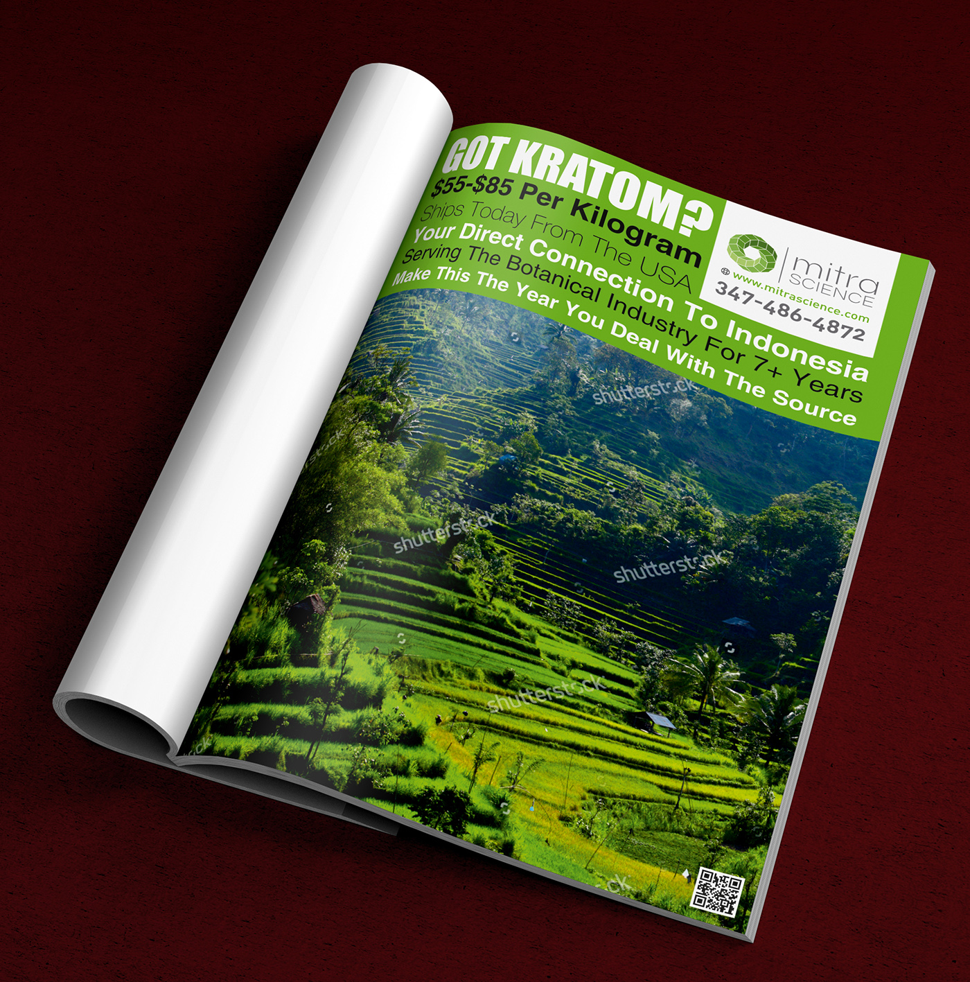 Diseño de Flyer por ALSADESIGN para PHI MARKETING LLC | Diseño #11319244