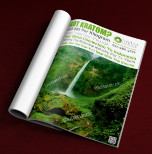 Design de Flyer par ALSADESIGN pour PHI MARKETING LLC | Design : #11319261